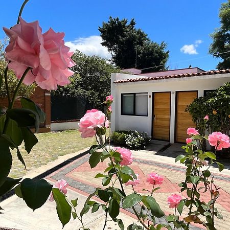 Villa Santa Julia Oaxaca Dış mekan fotoğraf