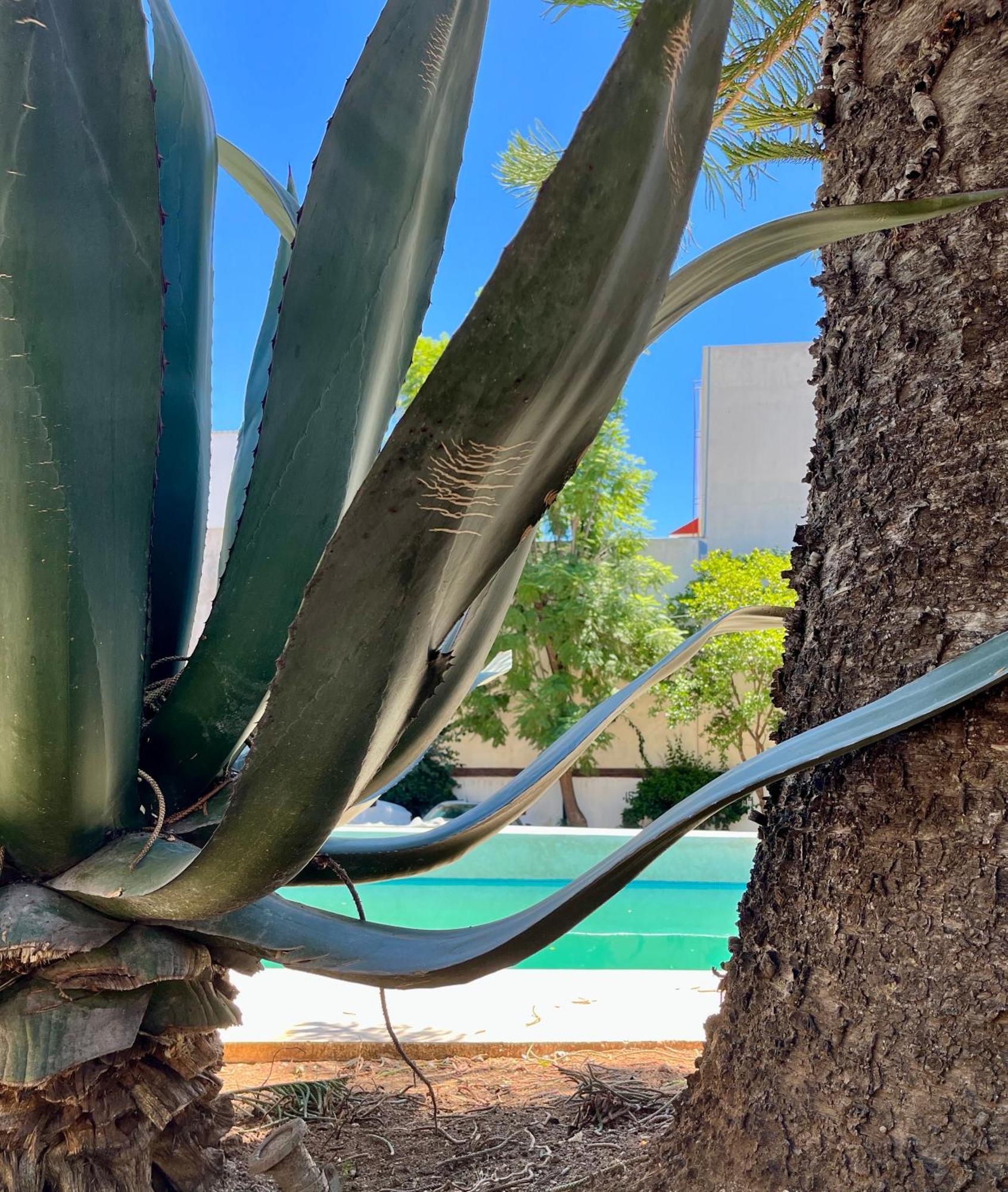 Villa Santa Julia Oaxaca Dış mekan fotoğraf